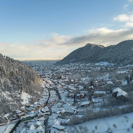 Nature & Romance Mm Apartment Brasov